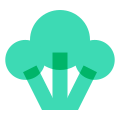 Broccoli icon