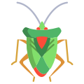 Stink Bug icon