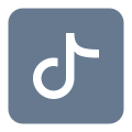 Tiktok icon