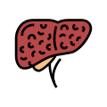 Liver Cirrhosis icon