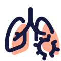 les maladies pulmonaires icon