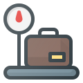 Weigh Cargo icon