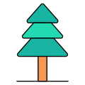 Conifer icon