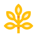 Branch icon