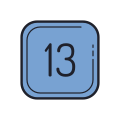 13c icon