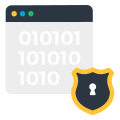 Web Security icon