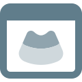 Ultrasound Results icon