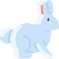 Hare icon