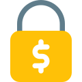 Secure online payment ssl protection, money security icon