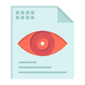 Eye icon