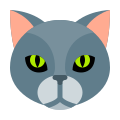 testa di gatto icon