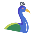 Peacock icon
