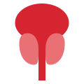 前立腺 icon