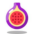 Fig Fruit icon