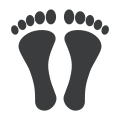人的脚印 icon
