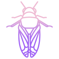 Cicada icon