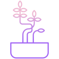 阳光下的植物 icon