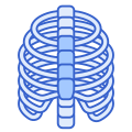 Ribs icon