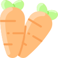 Carrot icon