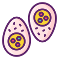 Eggs icon