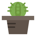 Cactus icon