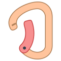 Carabiner icon