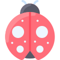 Ladybug icon