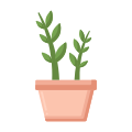 Fern icon