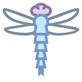 Dragonfly icon