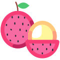 Lychee icon