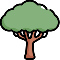 Árbol icon