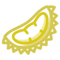 Durian icon