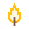 Feuille icon