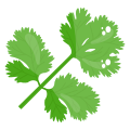 Parsley icon