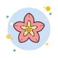 Spa Flower icon