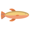 Fish icon