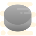 Puck icon