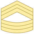 Master Sergeant MSG icon