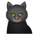 emoji-gato-negro icon