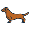 Dachshund icon