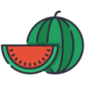 Water Melon icon