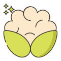 Cauliflower icon