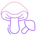 Porcini Mushroom icon