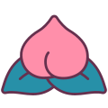 Peach icon