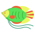 Dwarf Gurami Fish icon