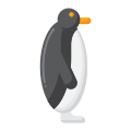 Pinguino icon