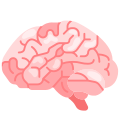 Brain icon