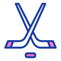 Sports Game icon