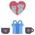 Gift icon