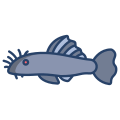 Ancistrus Fish icon